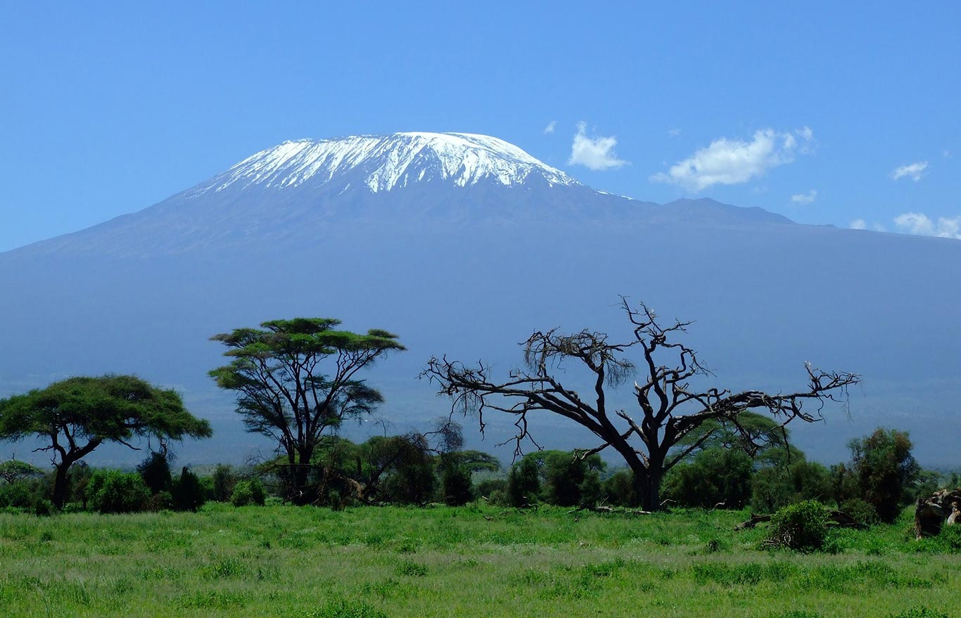 Kilimanjaro-tausta