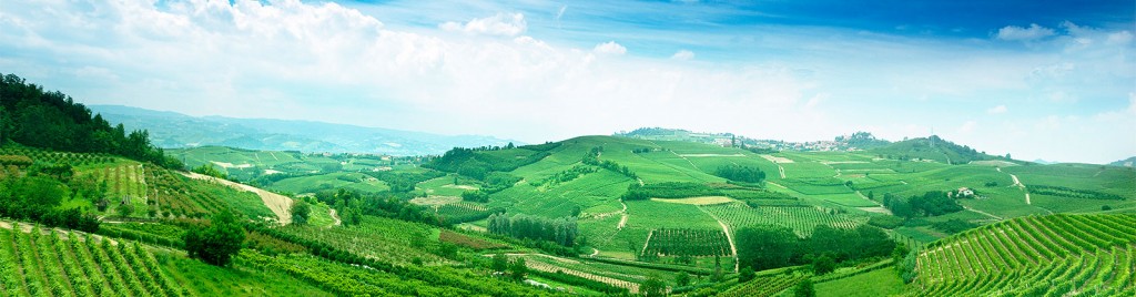 Slider Piemonte hills