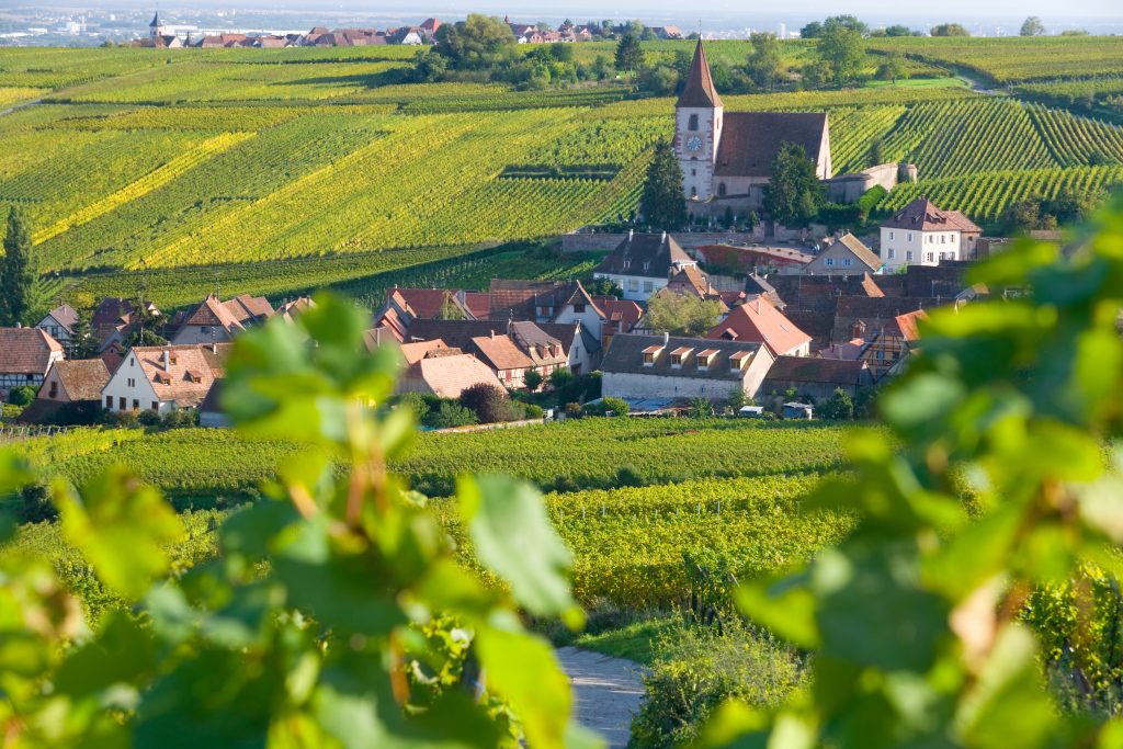 Alsace viinimatkat