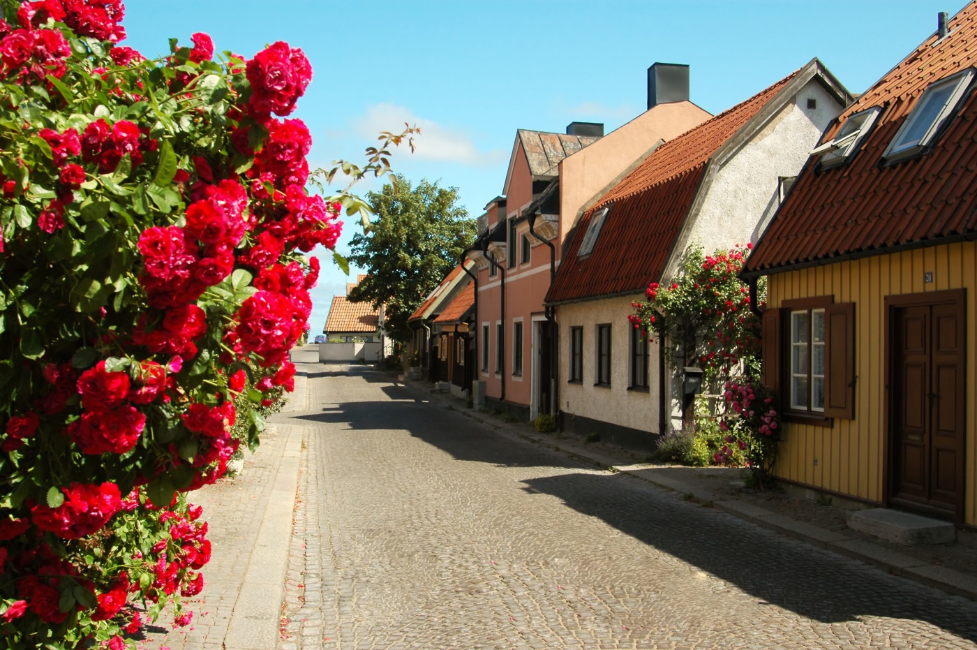 Resa till Visby - Rosornas stad, Gotland
